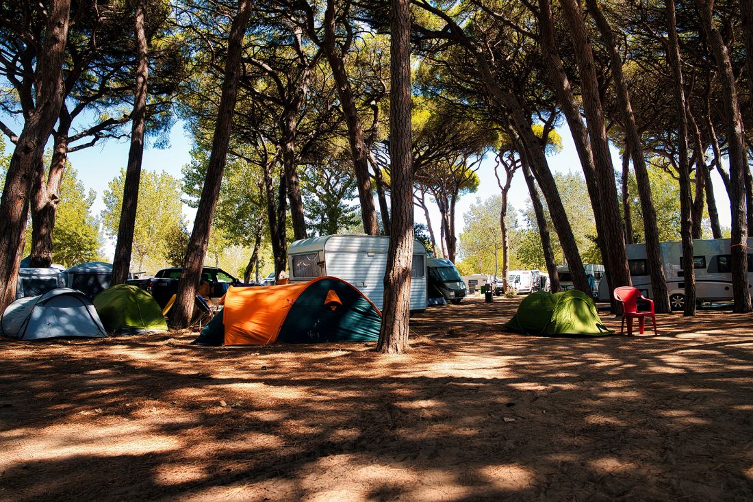 Camping Pitch