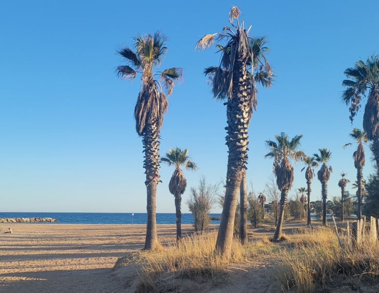 Plage de Saint-Aygulf - Fréjus