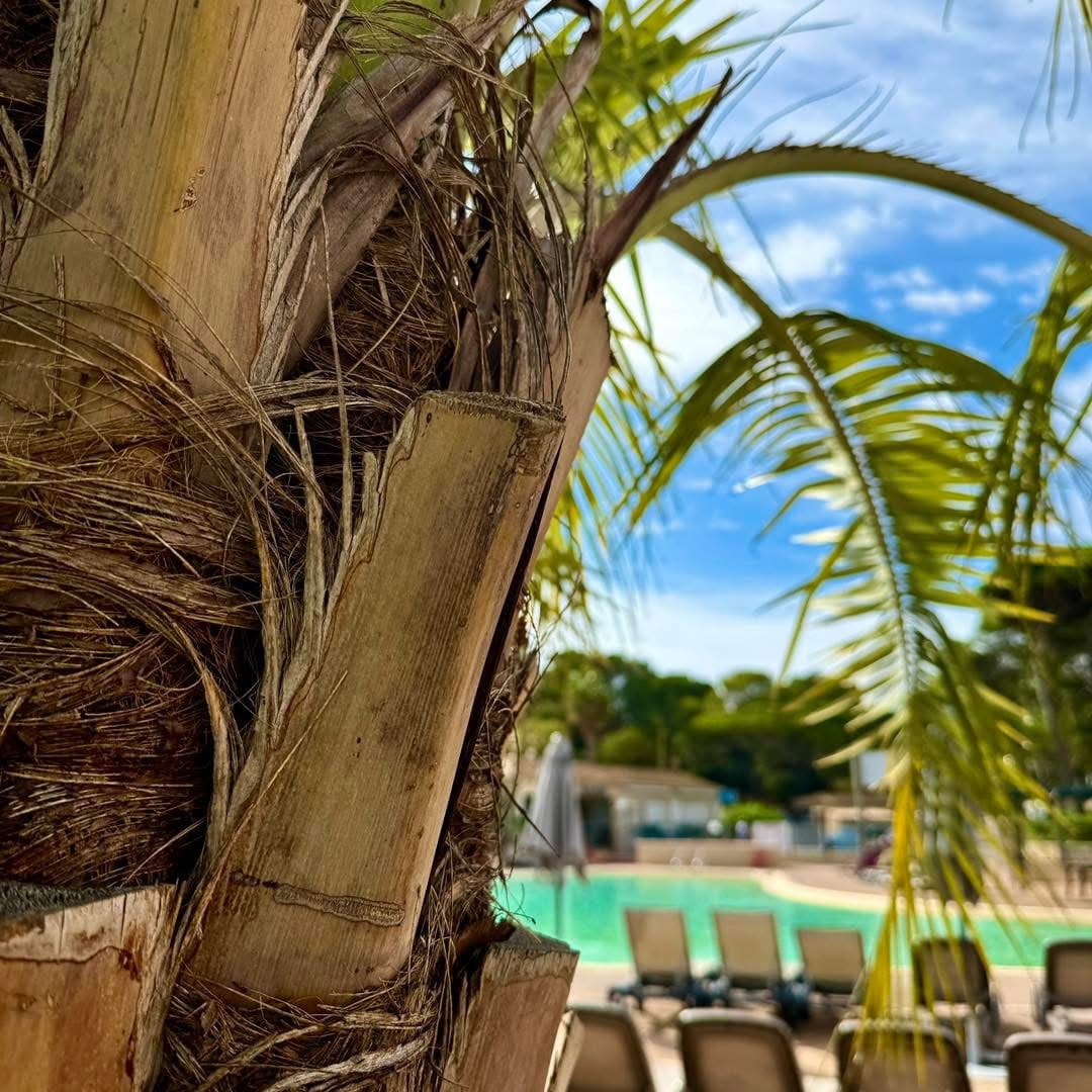 Book your 2025 holiday at Camping Saint-Aygulf Plage !