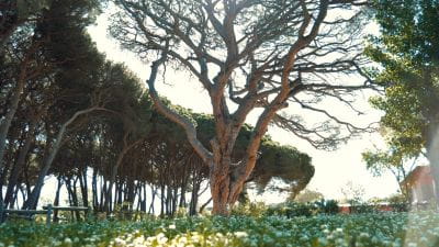 Image Le Camping**** Saint Aygulf Plage opens its doors on Saturday, April 5