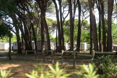 Image Why go on holiday out of season at Camping Saint-Aygulf?