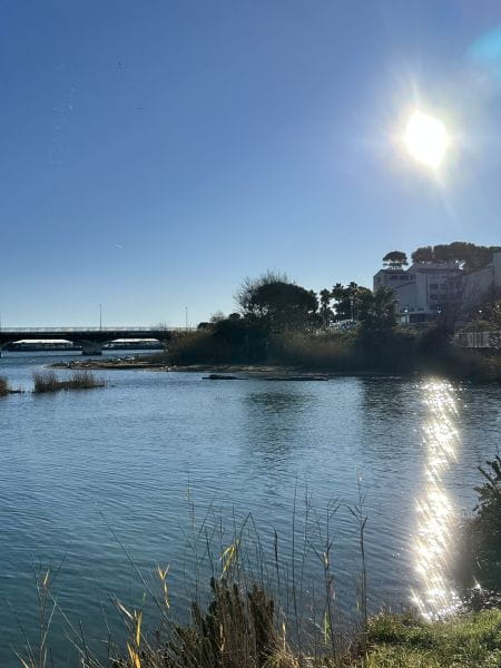 Dreaming of summer in mid-December at Camping Saint-Aygulf Plage