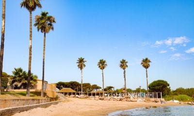 Image Dreaming of summer in mid-December at Camping Saint-Aygulf Plage