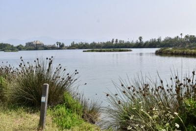 Image Happy New Year 2026 at Camping Saint-Aygulf Plage: ready for a new season with your feet in the sand