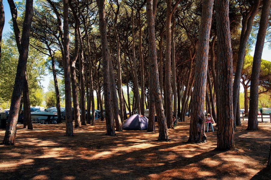 The best places are quickly taken