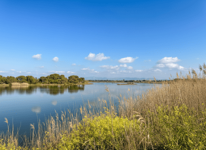 image March in Saint-Aygulf: spring is just around the corner