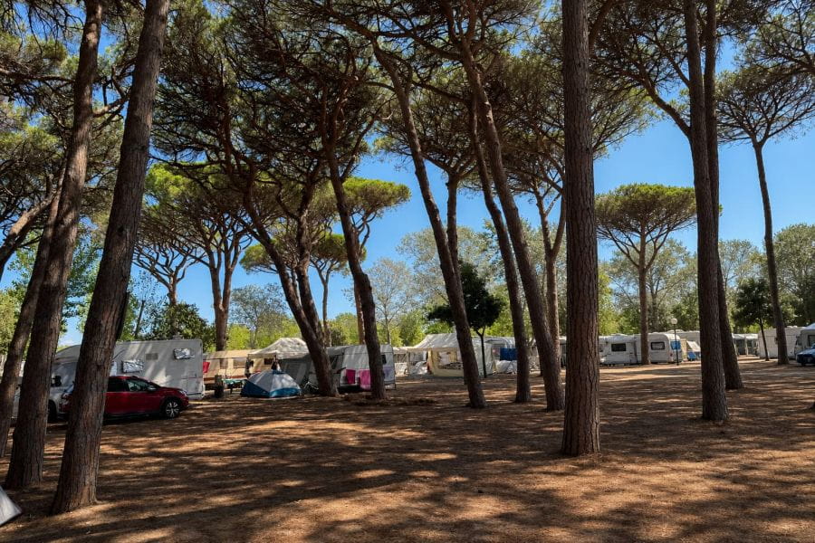 July is just around the corner – book now