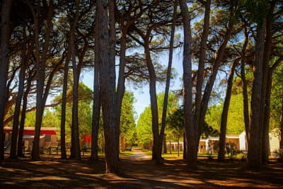 Image SEPTEMBER AT THE SAINT-AYGULF PLAGE CAMPSITE: SUMMER CONTINUES, BUT IN A DIFFERENT WAY