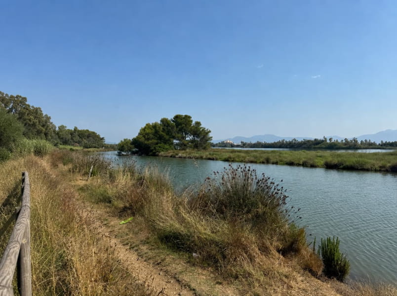 Between the beach, walks, and the good life